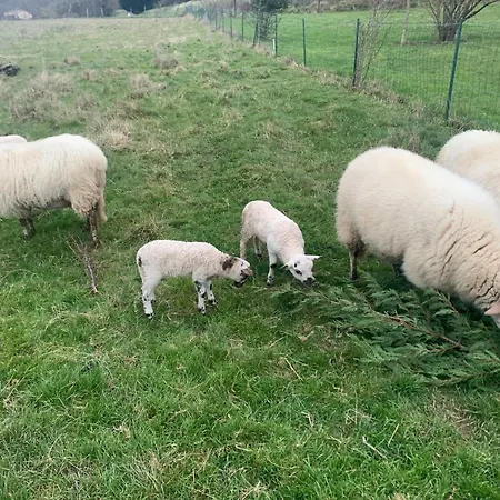 Vakantiehuis Dans Maison En Pierre A La Campagne